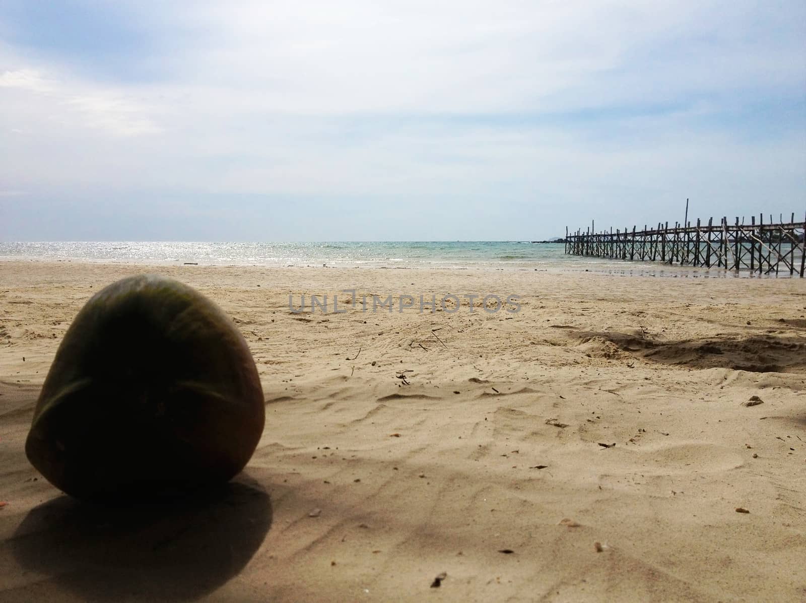 coconut on sand, focusing the beach