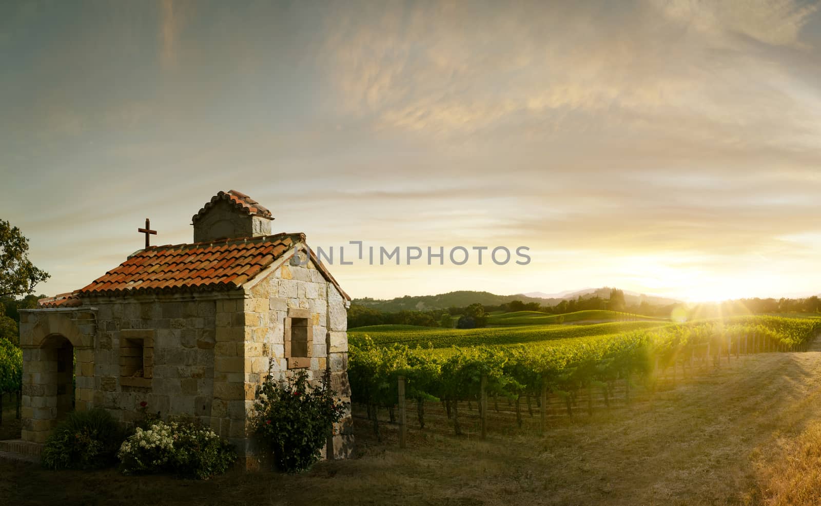 view of nice  italian sunny  summer countryside landscape