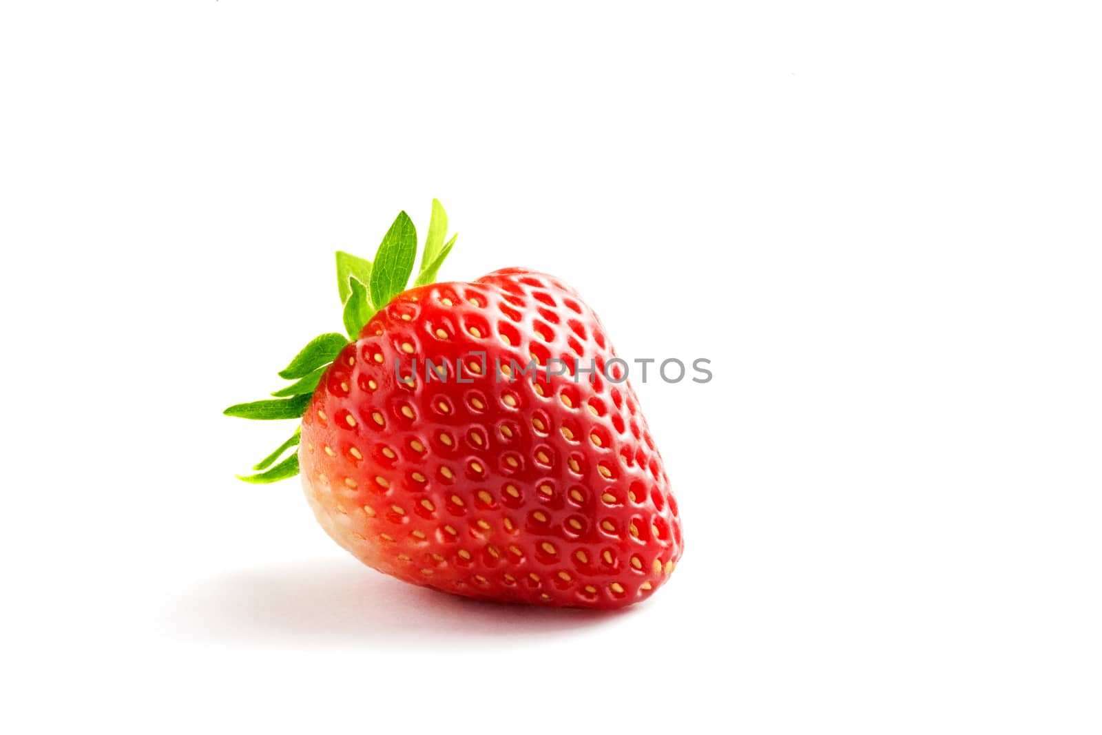 strawberry by ersler