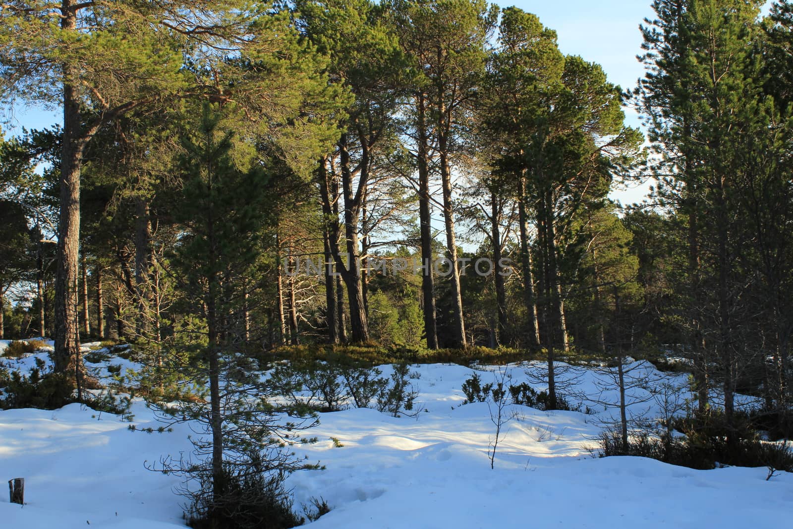 Nature, Nature, Mountains, Landscapes