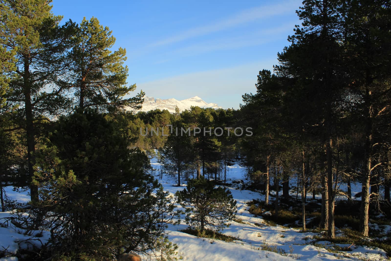 Nature, Nature, Mountains, Landscapes