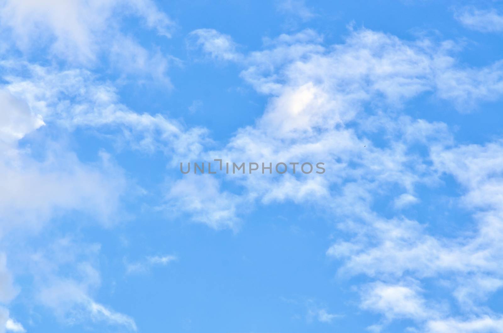 white clouds in the blue sky