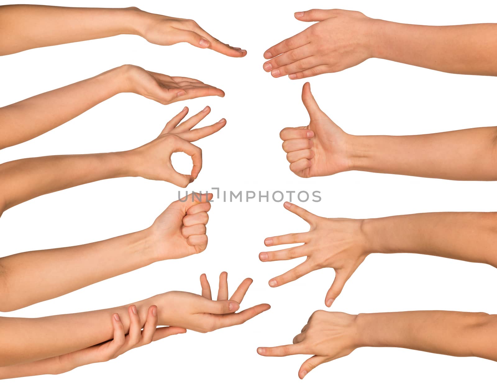 Set of hands isolated on white background