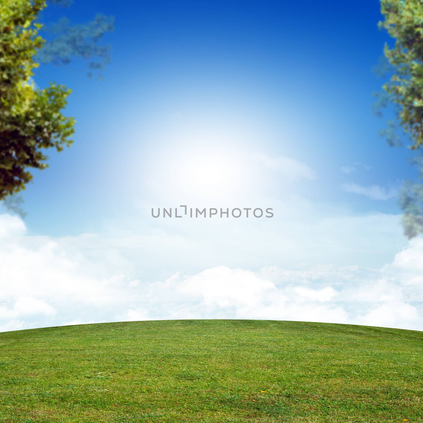 Blue sky with clouds and green grass
