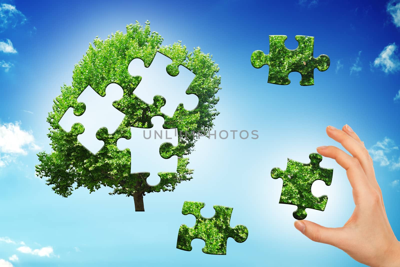 Hand making tree puzzle by cherezoff