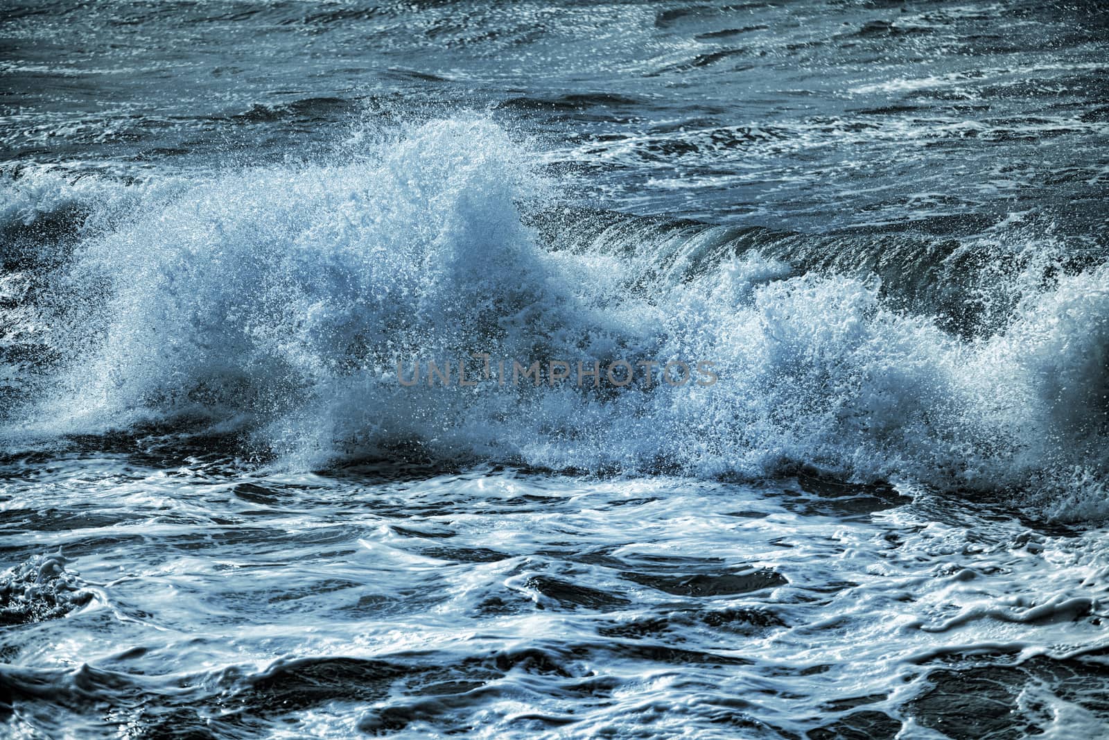 Tall waves on the surface of the ocean