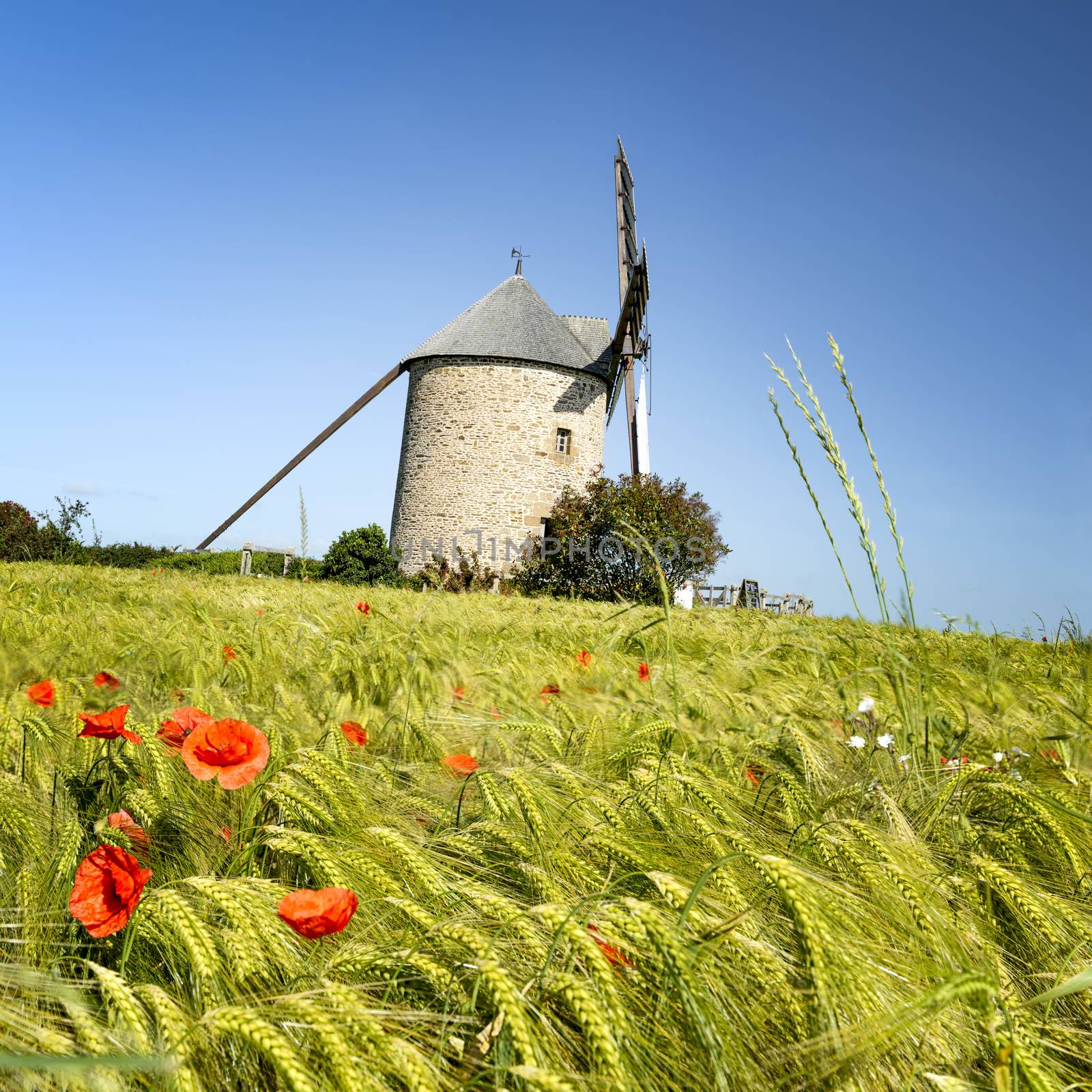 France, the Moidrey windmill in Pontorson in Normandie