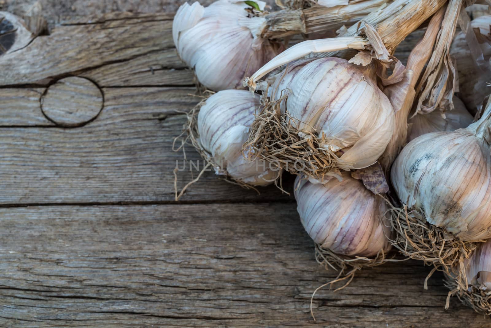 Bunch of garlic on a wooden background