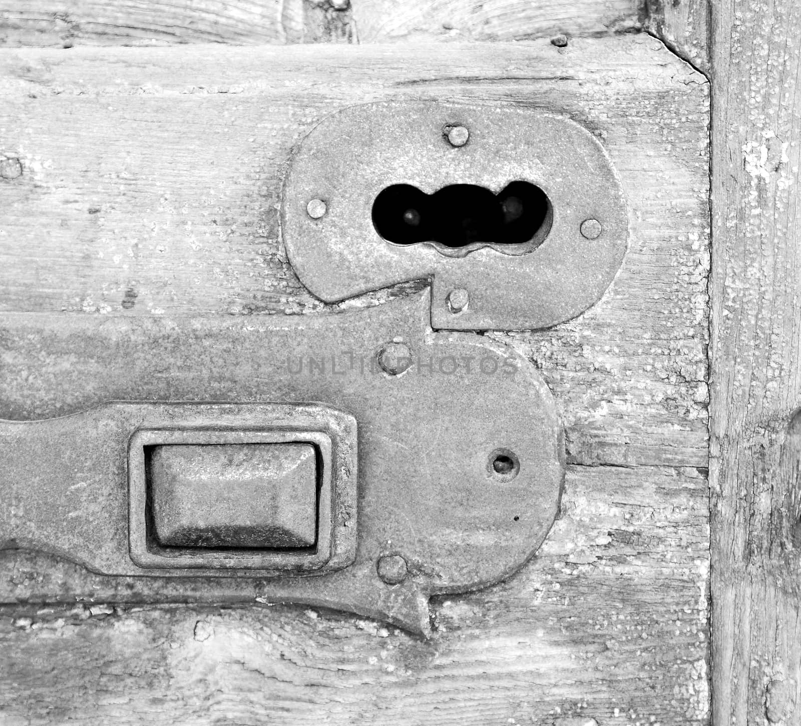 europe old in  italy  antique close brown door and rusty lock  closeup