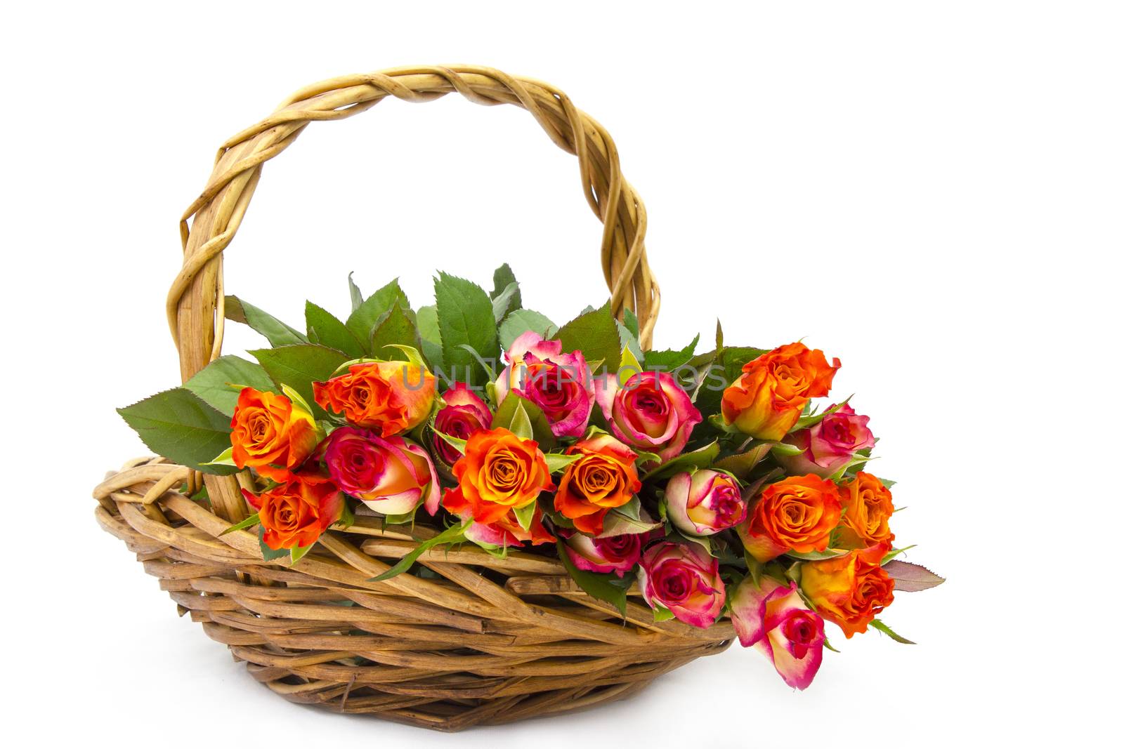 roses in a basket on white background