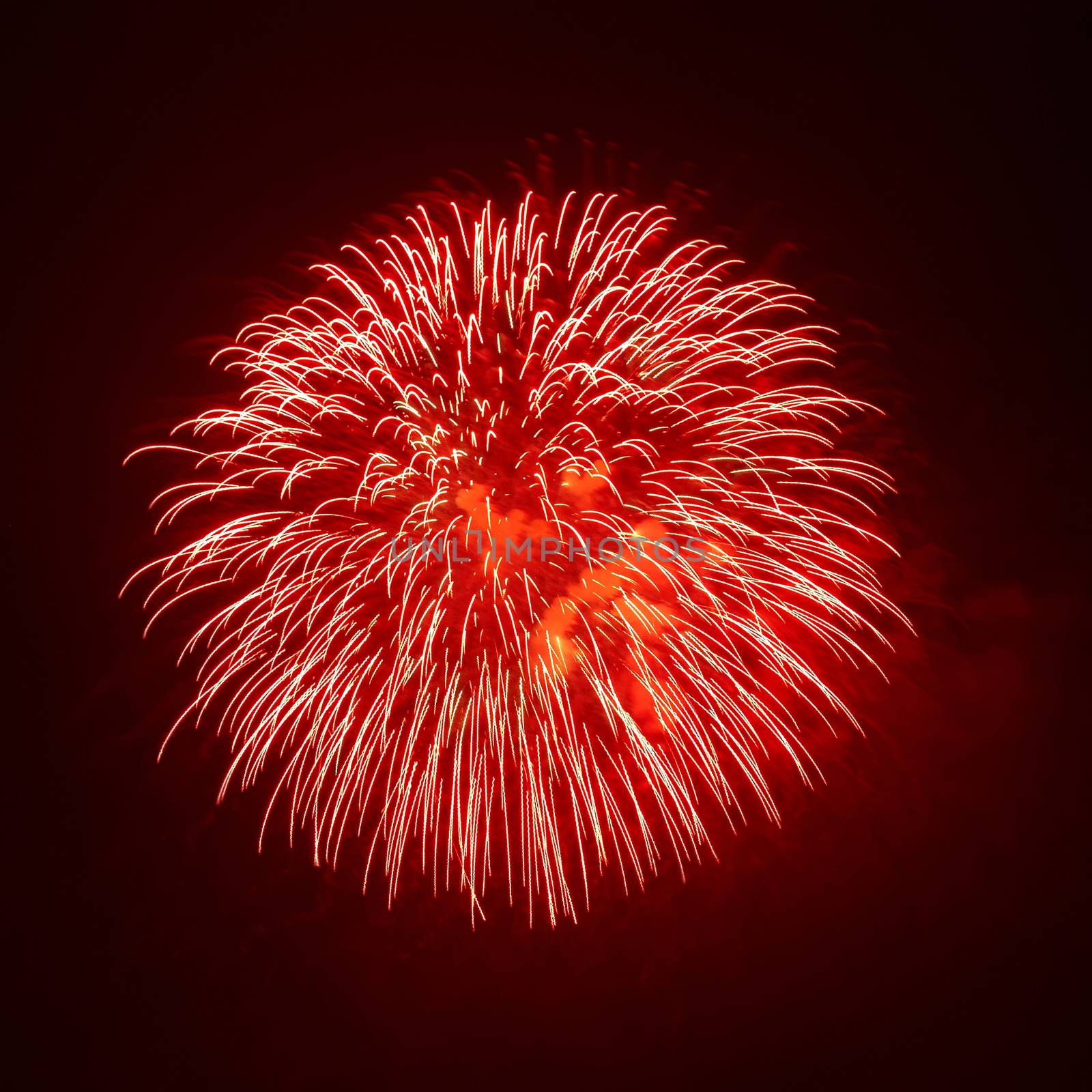 Beautiful fireworks on the black sky background