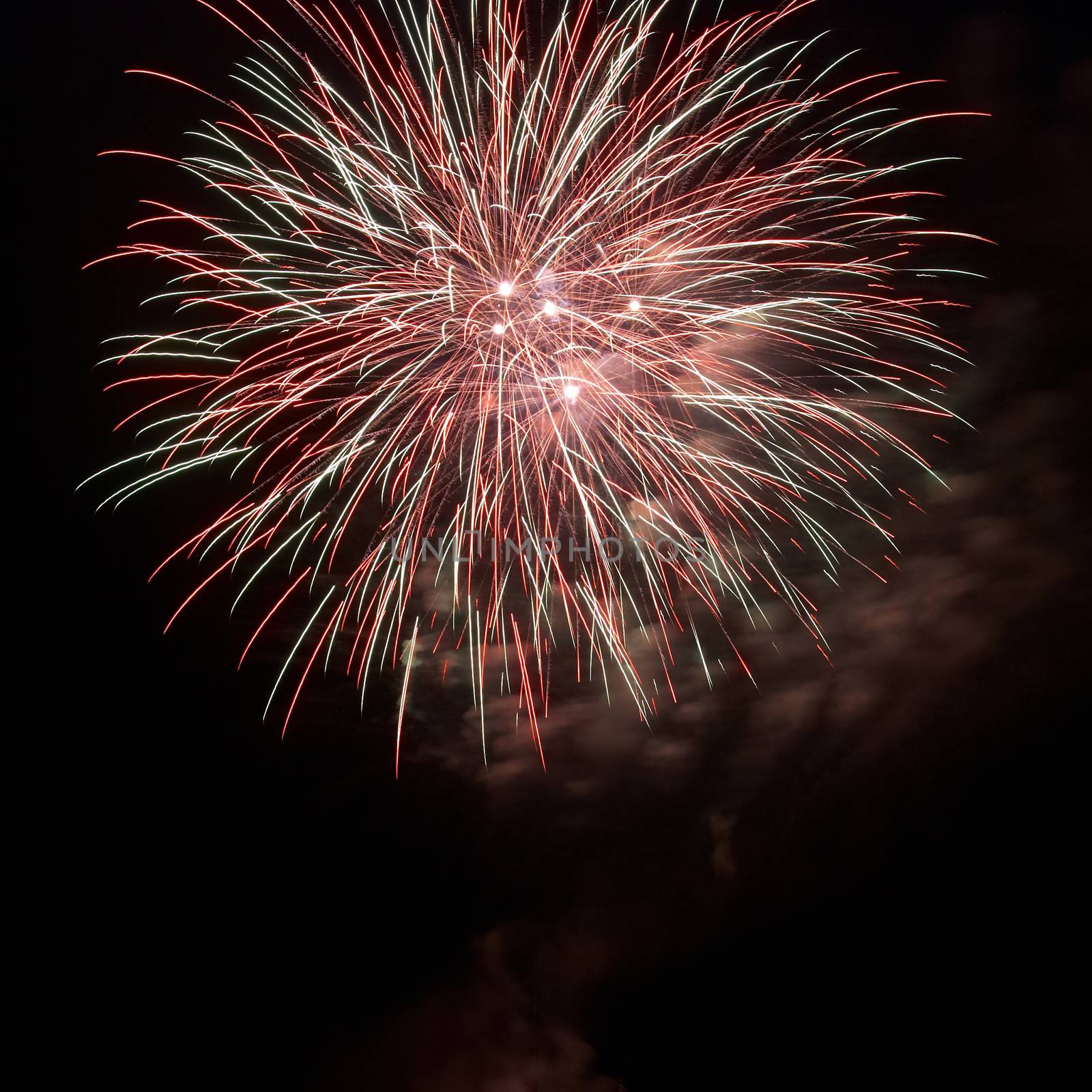 Beautiful fireworks on the black sky background