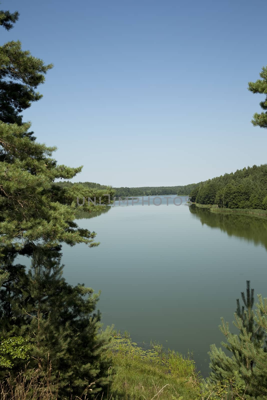 scenery of the lake in beautiful sunny day