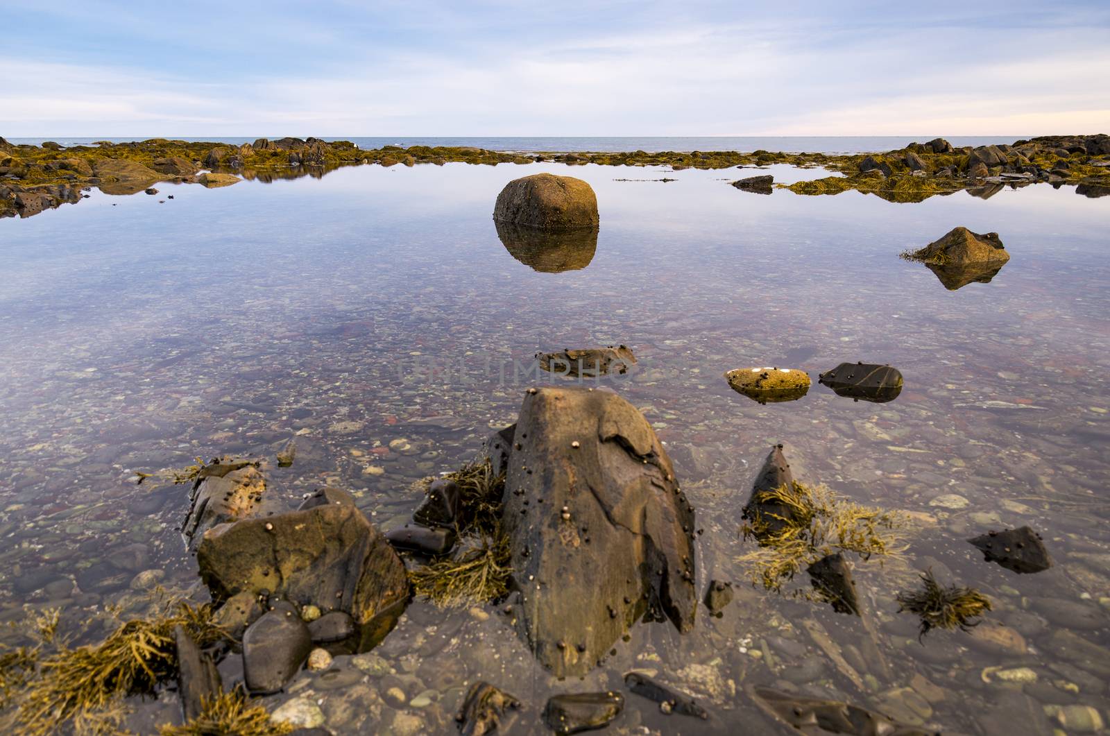 Maine coast at sunset by edella