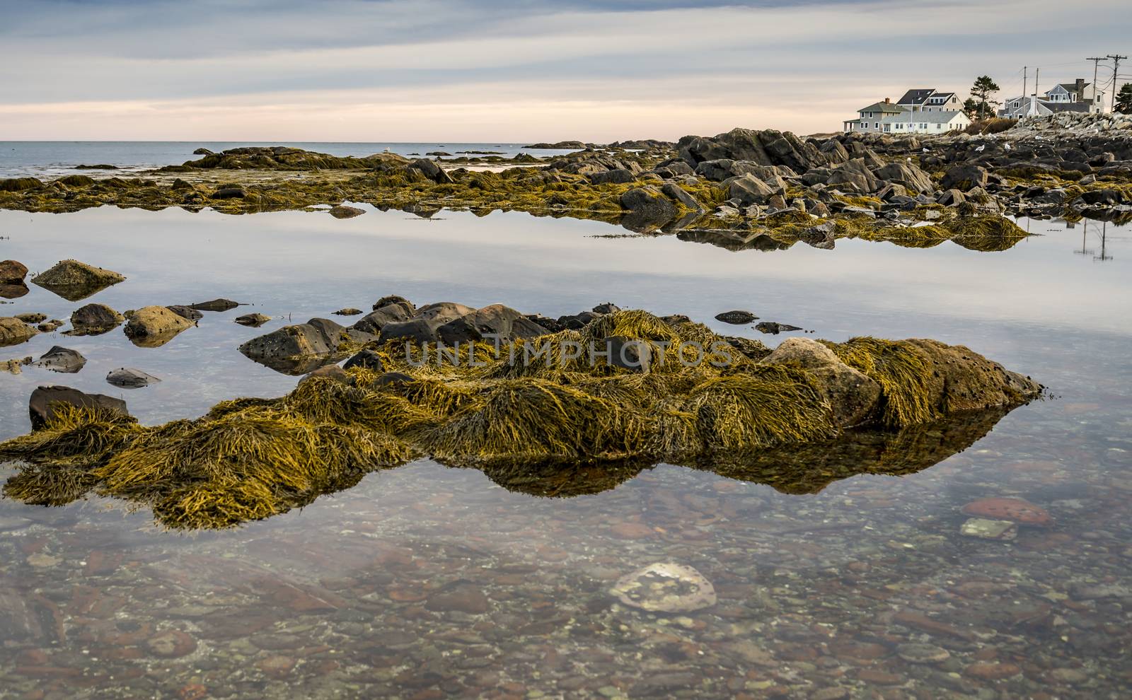 Maine coast as sun comes over the horizon