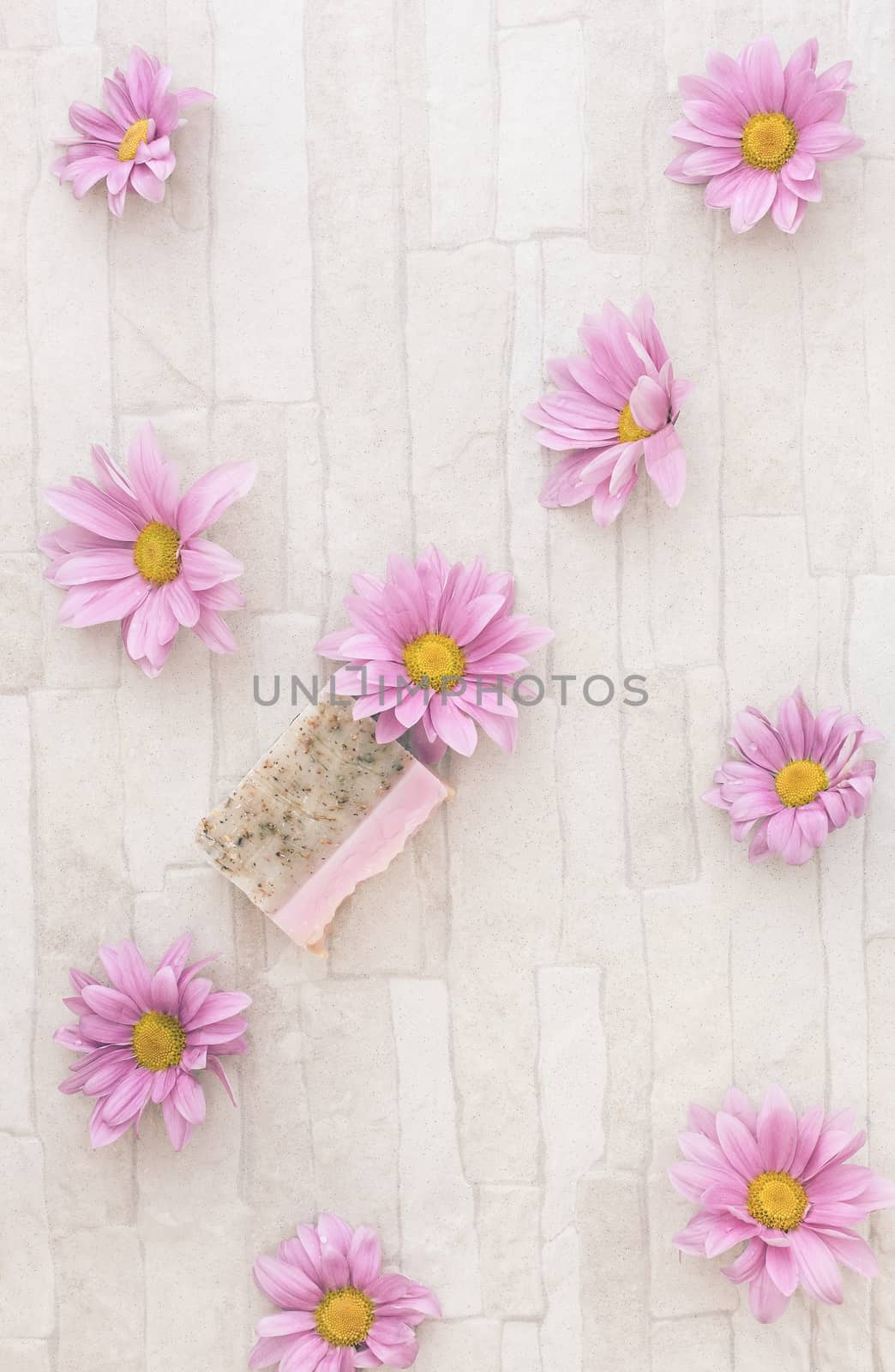 Spa still life of homemade bar of soap with chrysanthemum flowers. Overhead view with blank space