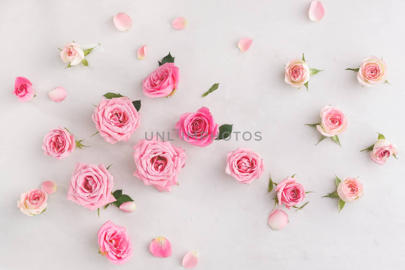 Various soft roses and leaves scattered on a vintage background, overhead view