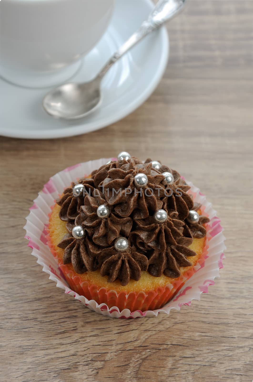 Muffin  by Apolonia