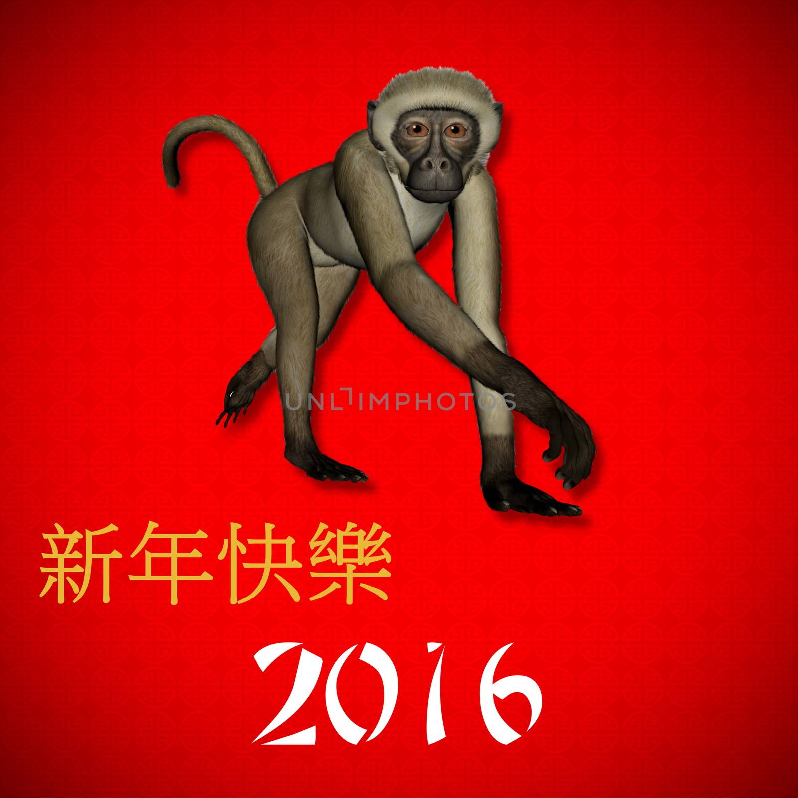 Happy New Chinese monkey Year, 2016 by Elenaphotos21