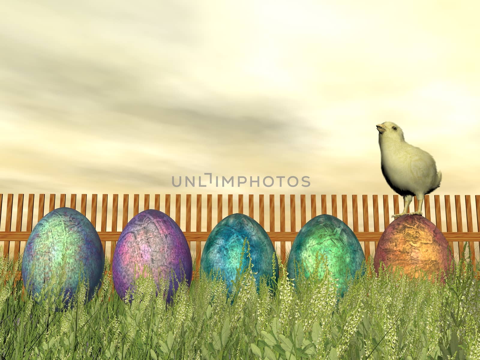 Colorful eggs for easter in a row on the grass in front of a fence and with a little chick by yellow sunset - 3D render