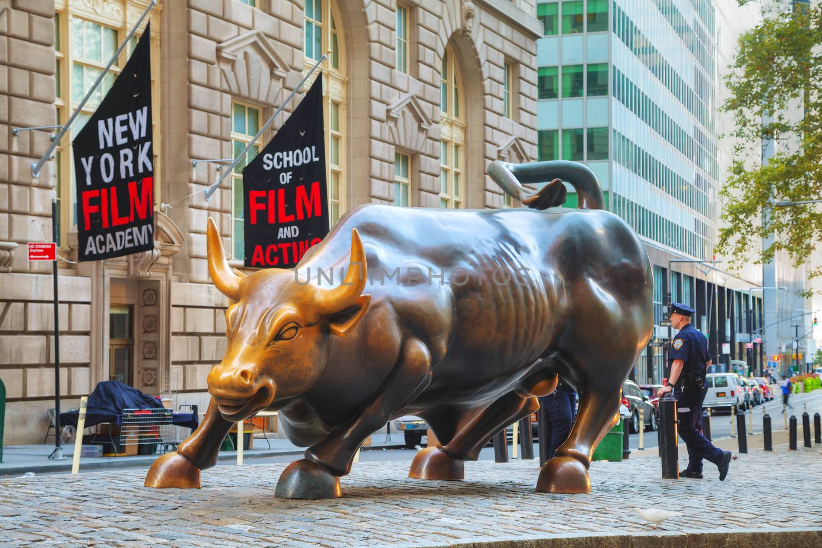 NEW YORK CITY - September 5: Charging Bull sculpture on September 5, 2015 in New York City. The sculpture is both a popular tourist destination, as well as "one of the most iconic images of New York".