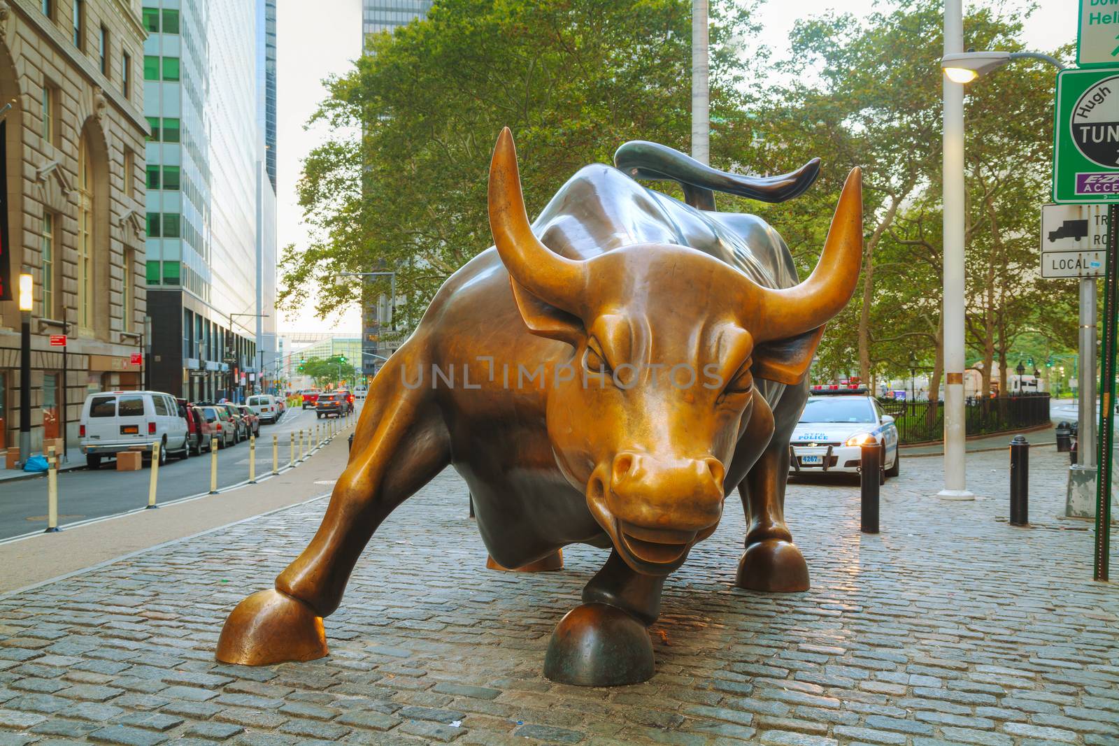 Charging Bull sculpture in New York City by AndreyKr