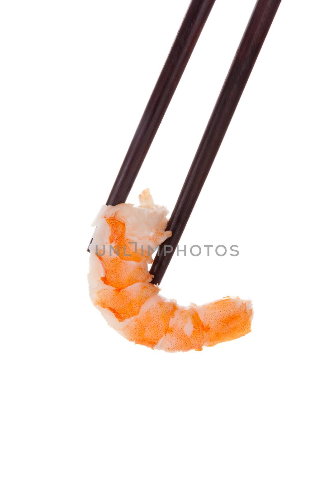 Shrimp in chopsticks isolated on white background. Culinary healthy seafood eating. 