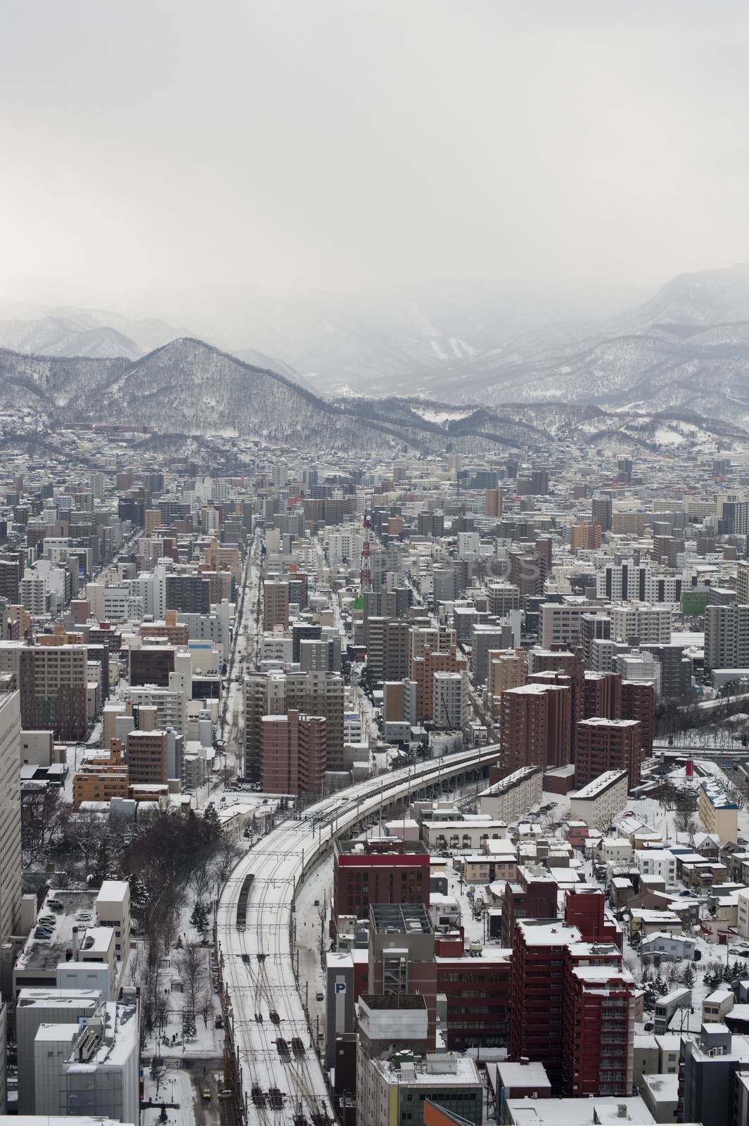 Sapporo city in Japan by stockarch