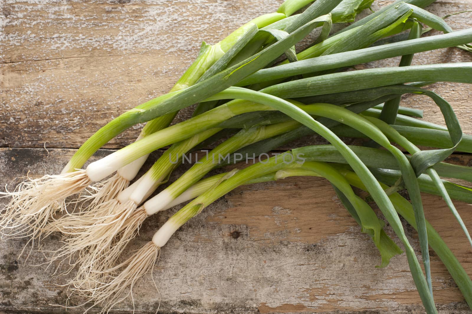 Bunch of fresh green spring onions for a pungent seasoning for salads or cooking lying on a rustic wooden table viewed from above
