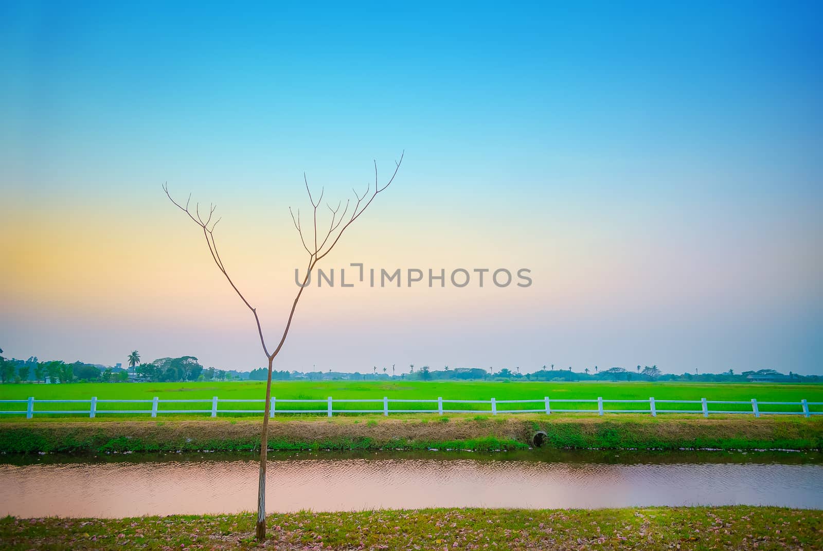 Beautiful Sunset Water Reflections Green fields, white fences.