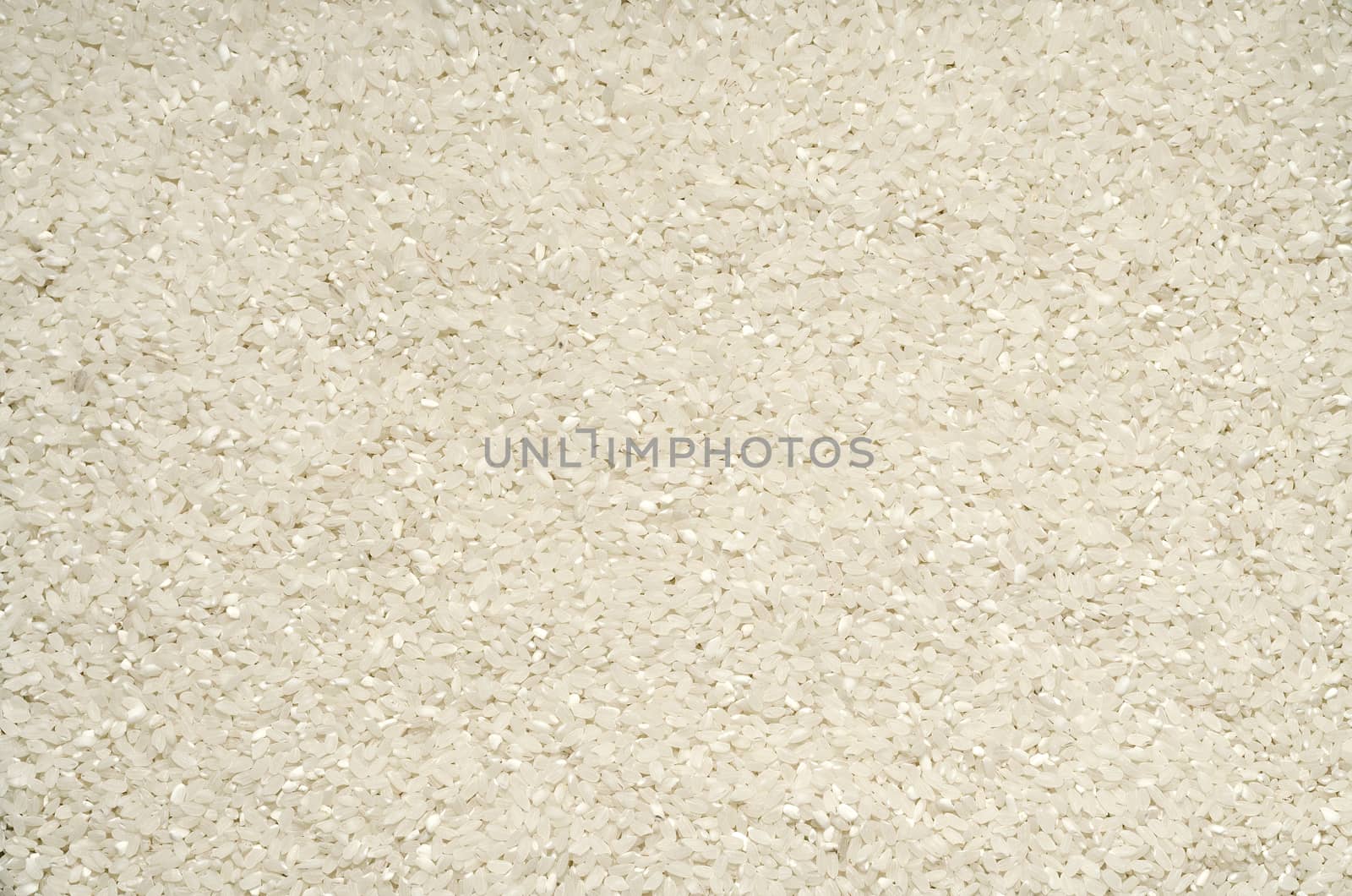 Textured background of rice grains scattered on the surface