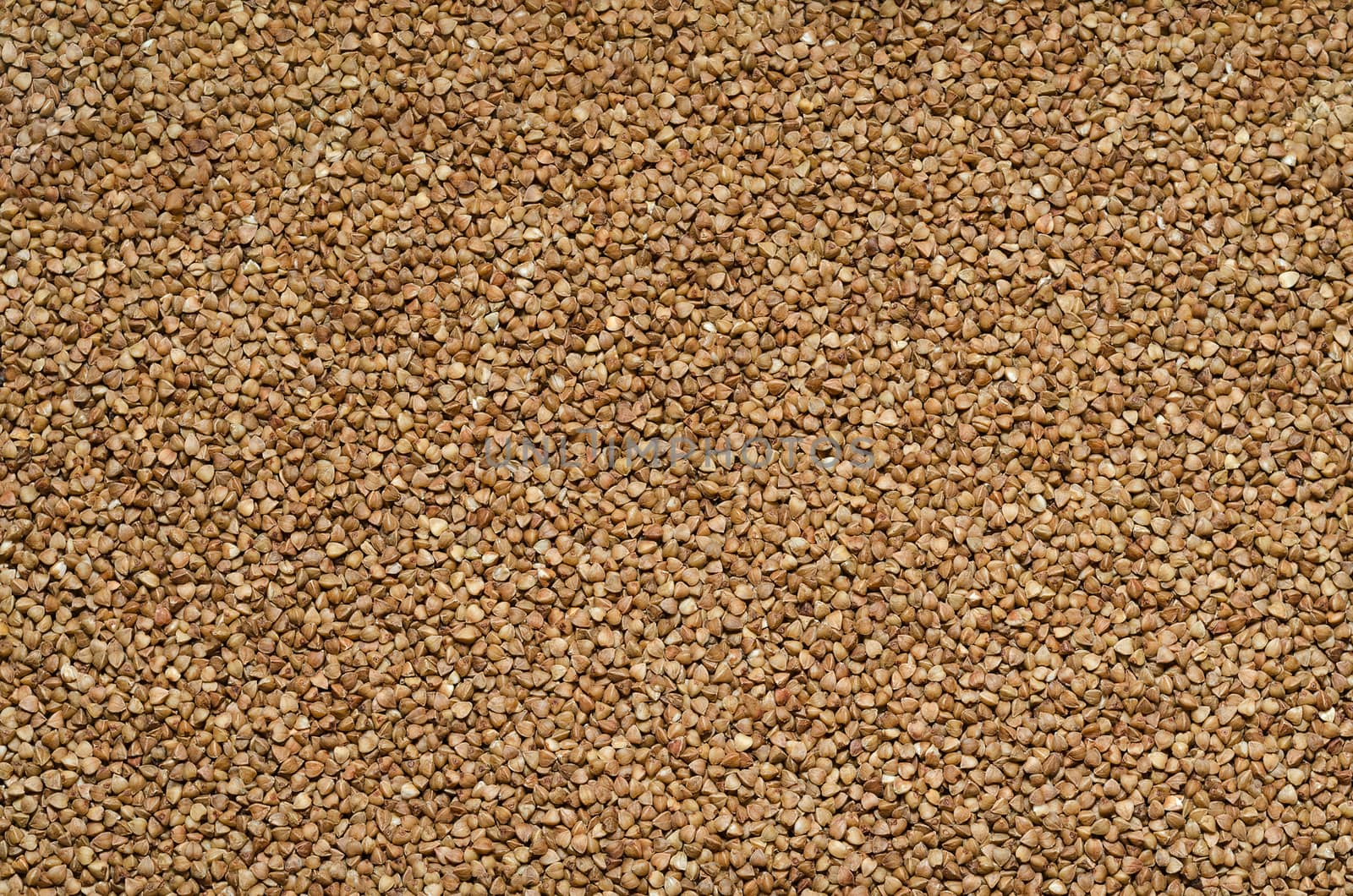 Textured background of buckwheat on scattered on the surface