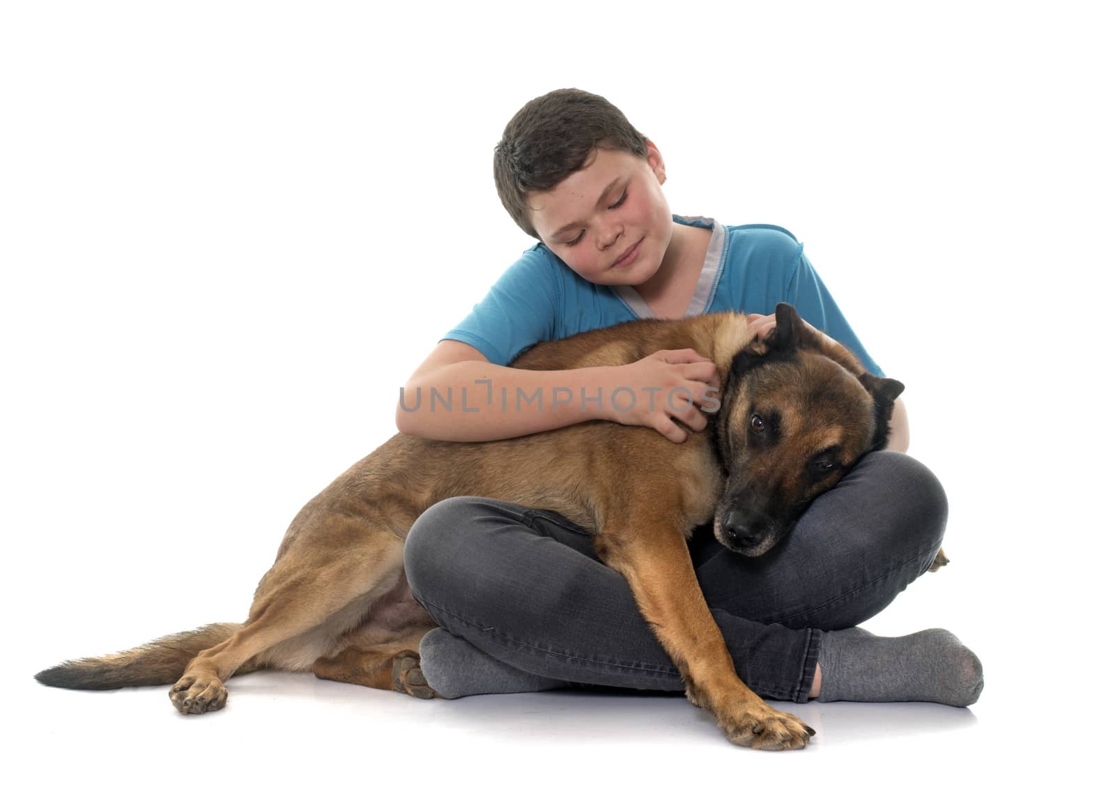 child and malinois by cynoclub