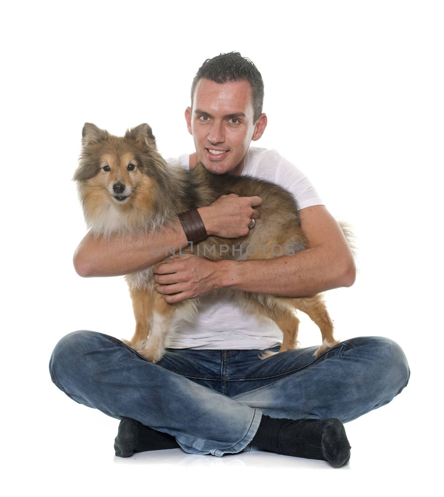 man and shetland sheepdog in front of white background