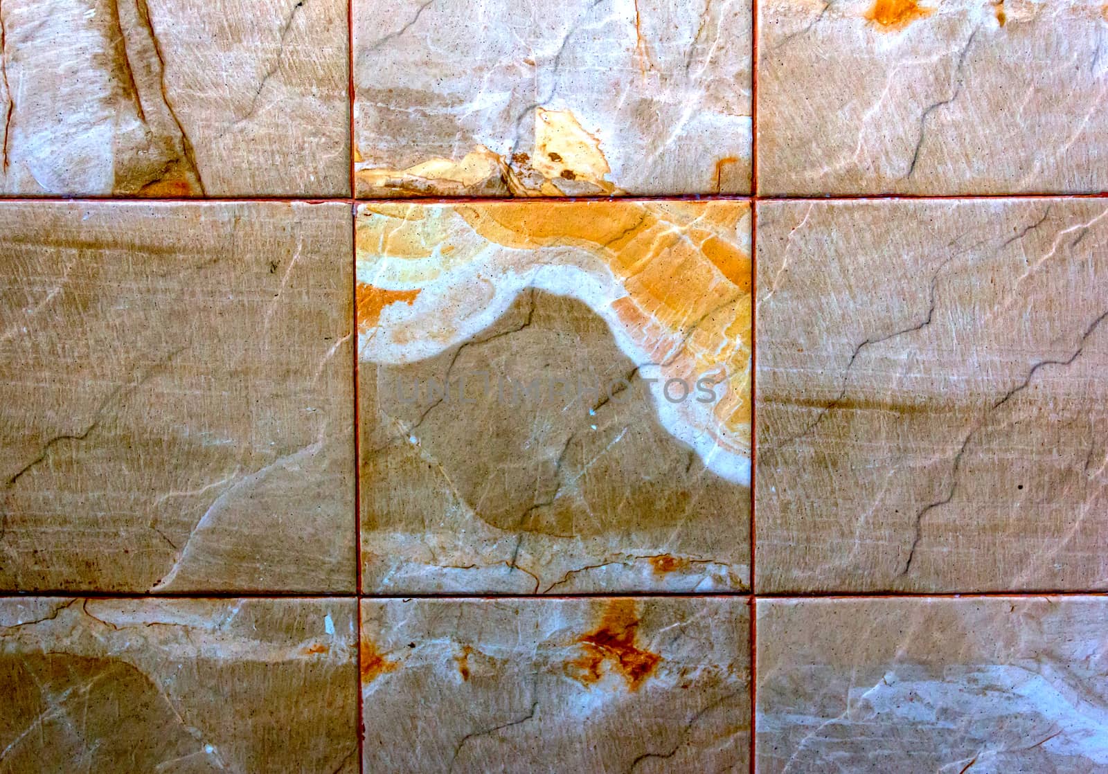 Patterned of tiles.This image shows the patterns on the tiles.