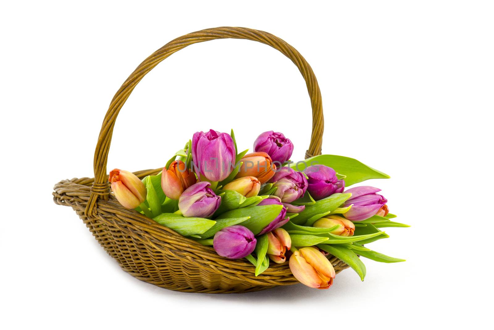 colourful tulips in a basket by miradrozdowski