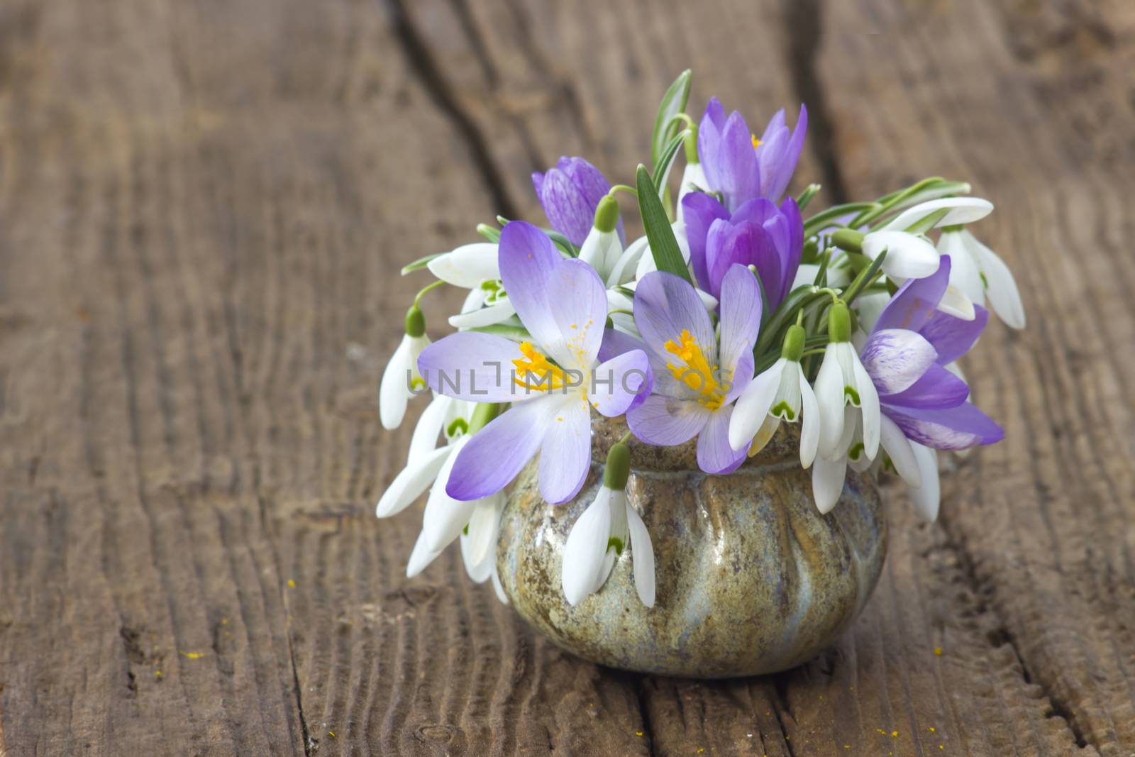 Bunch of crocus and snowdrops in a vase on the wooden table. by miradrozdowski