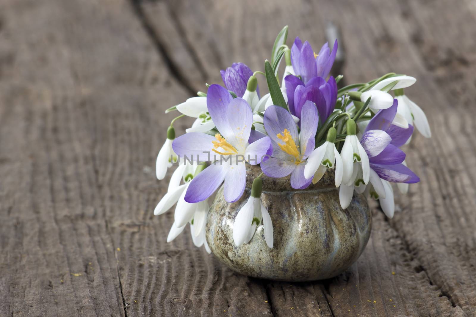 Bunch of crocus and snowdrops in a vase on the wooden table. by miradrozdowski