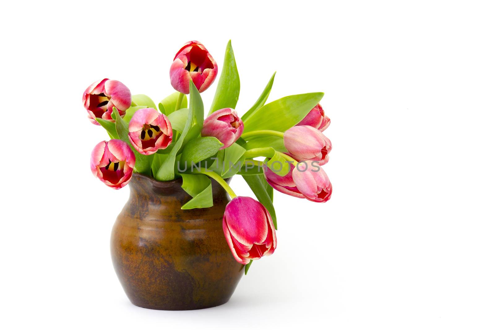 red tulips in a vase by miradrozdowski