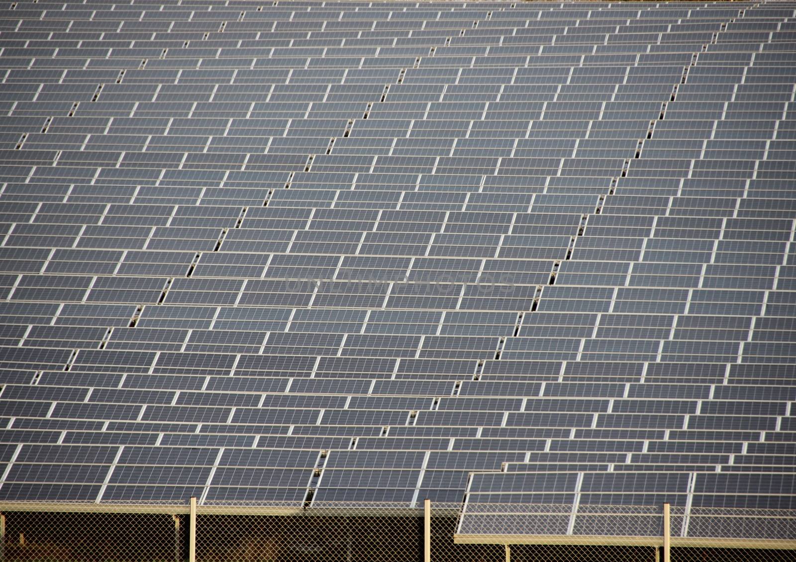 Large Sun Solar Industrial Field Plant Closeup with Fence