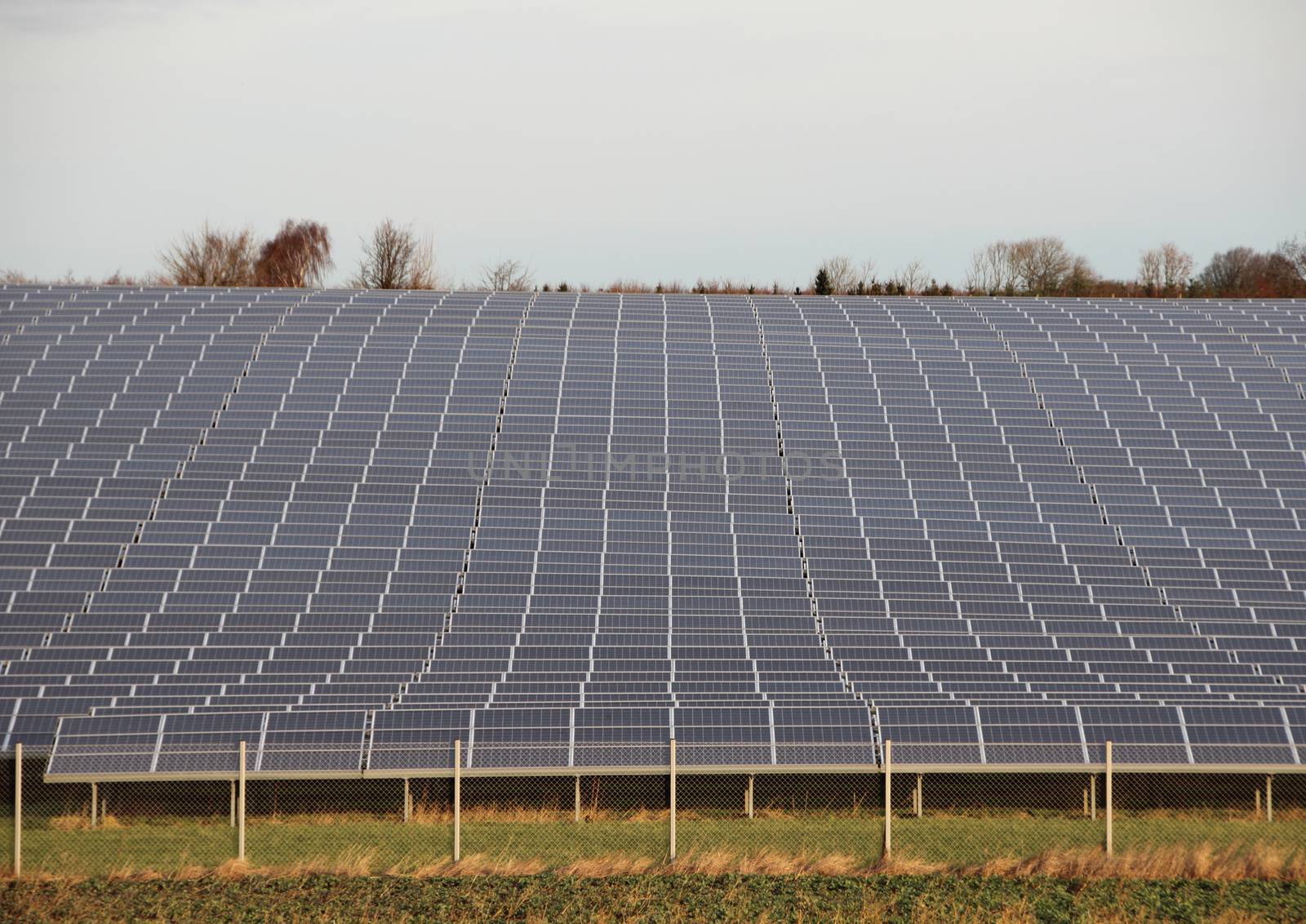 Sun Solar Industrial Plant with Fence Grass and Horizon