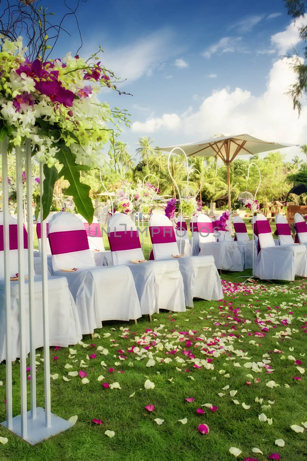 fragment like view of nice chairs ready for wedding ceremony