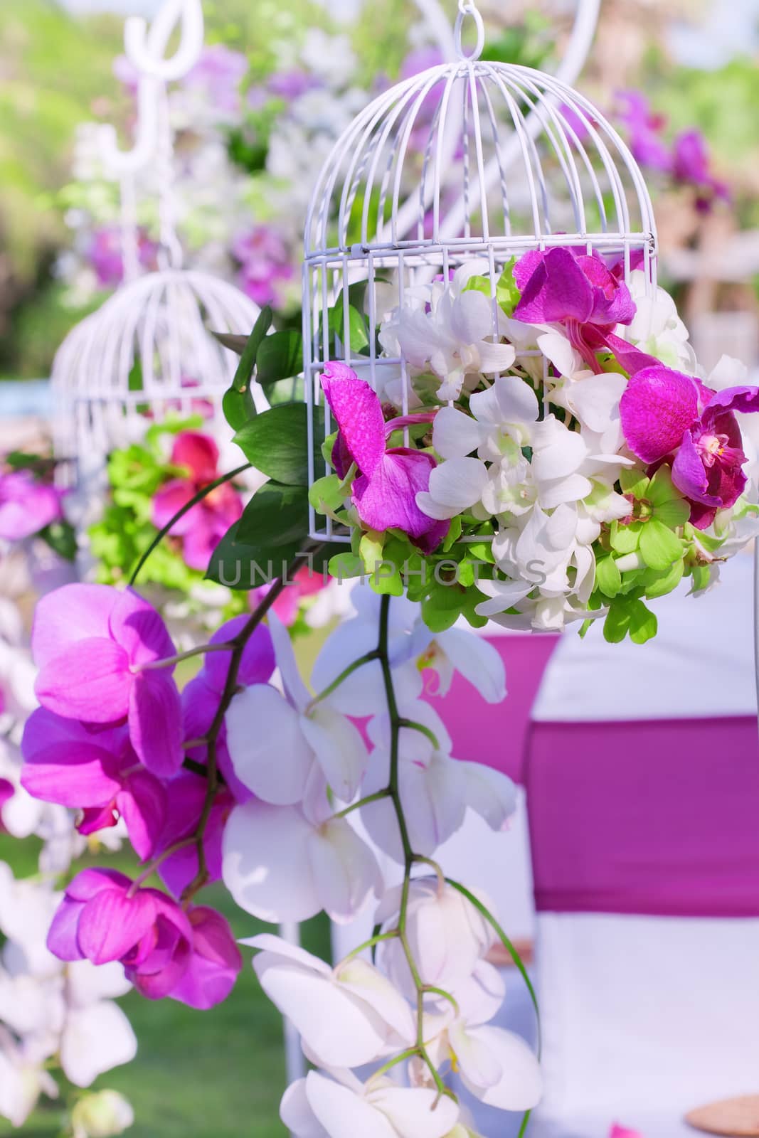 close up view of nice fresh bouquet  on color   back