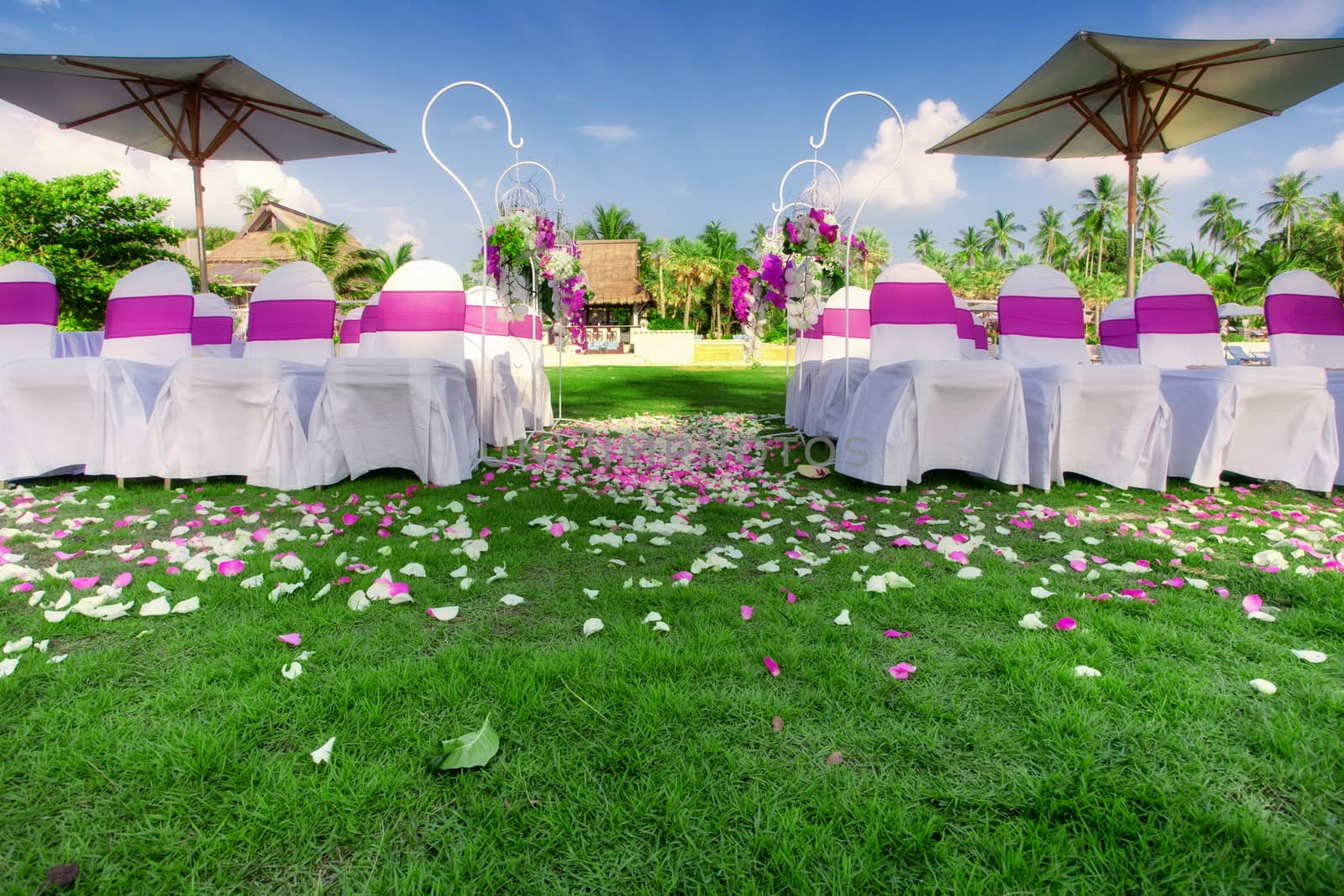 fragment like view of nice chairs ready for wedding ceremony