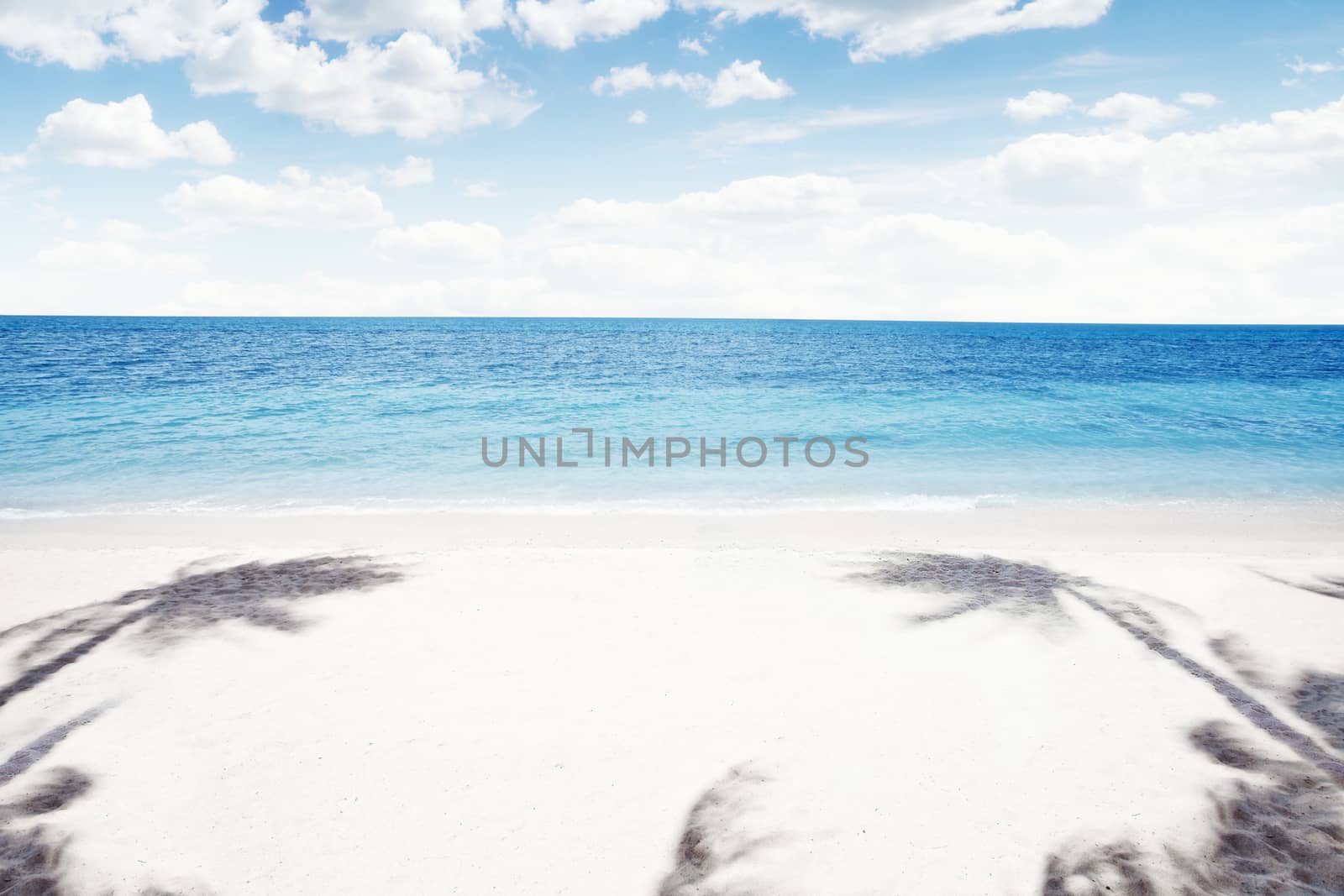 View of nice tropical  beach  with some palm's shadows  around