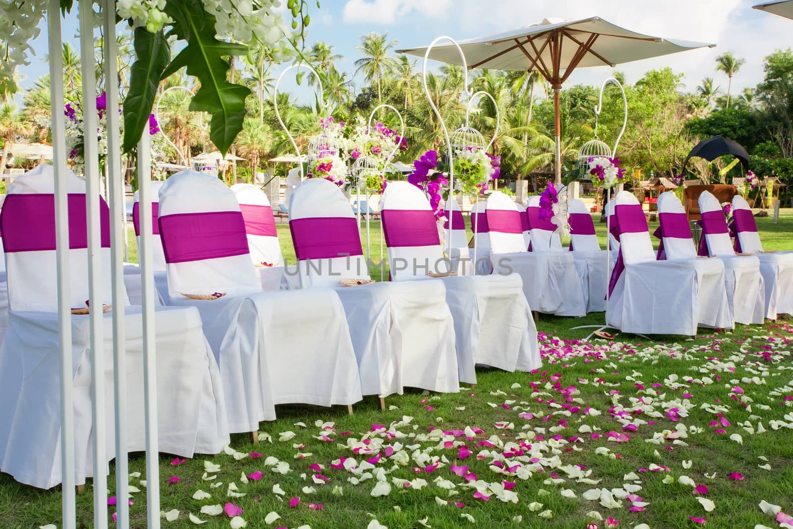 fragment like view of nice chairs ready for wedding ceremony