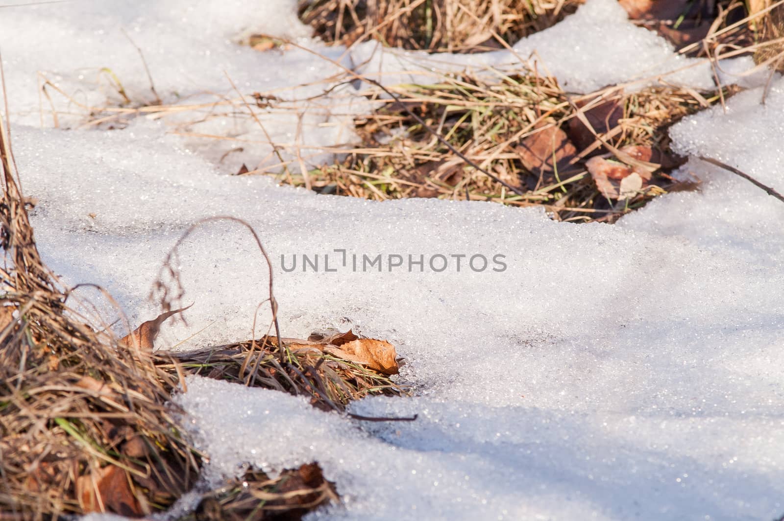Spring snow land by antonius_