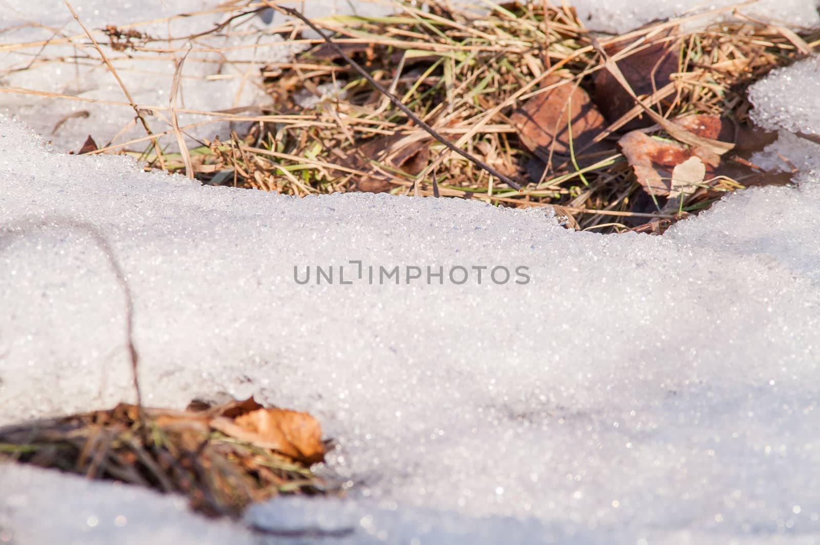 land and the snow melts in the spring