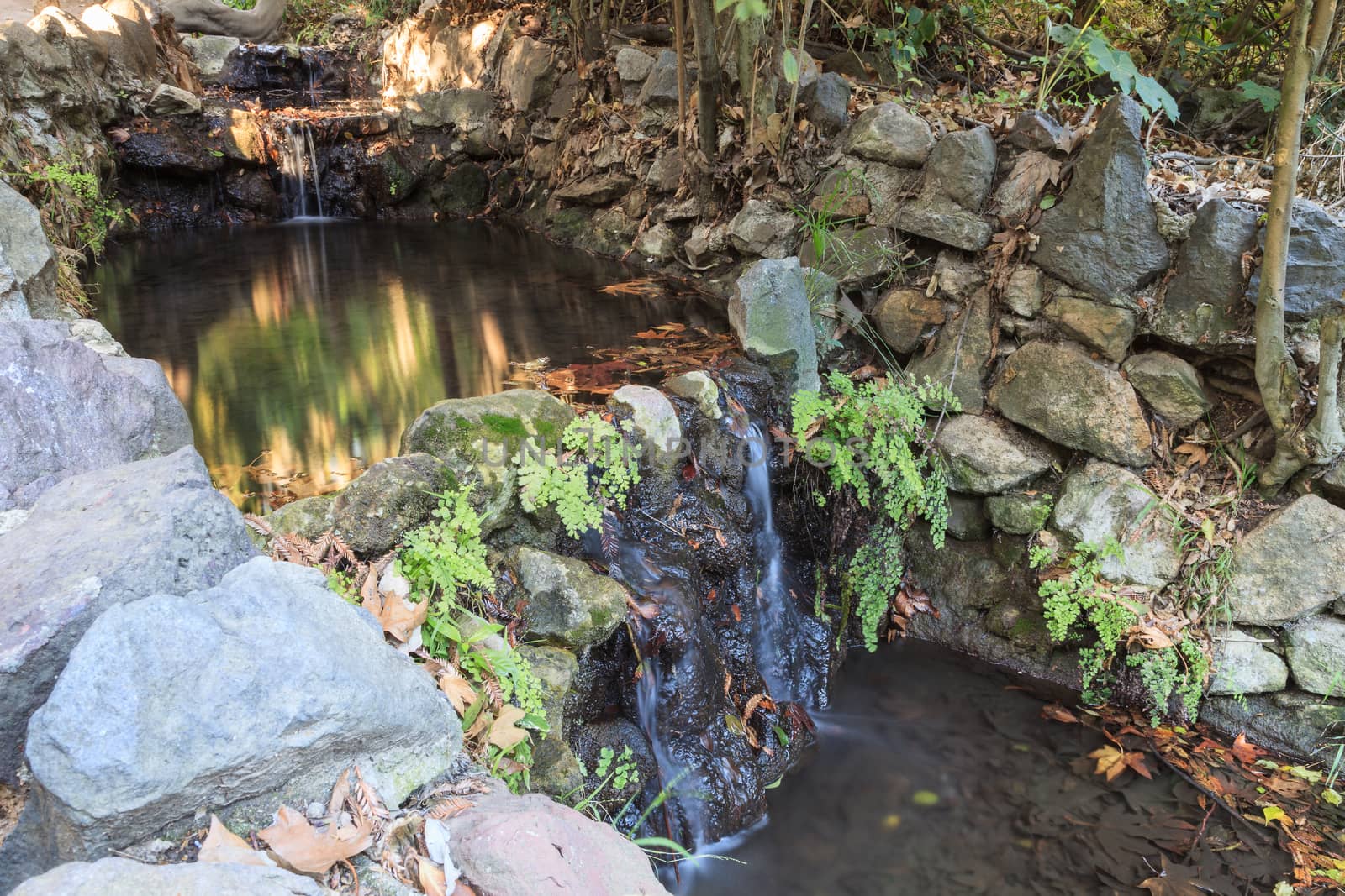 Ferndell hiking trail with ferns, small waterfalls and ponds by steffstarr