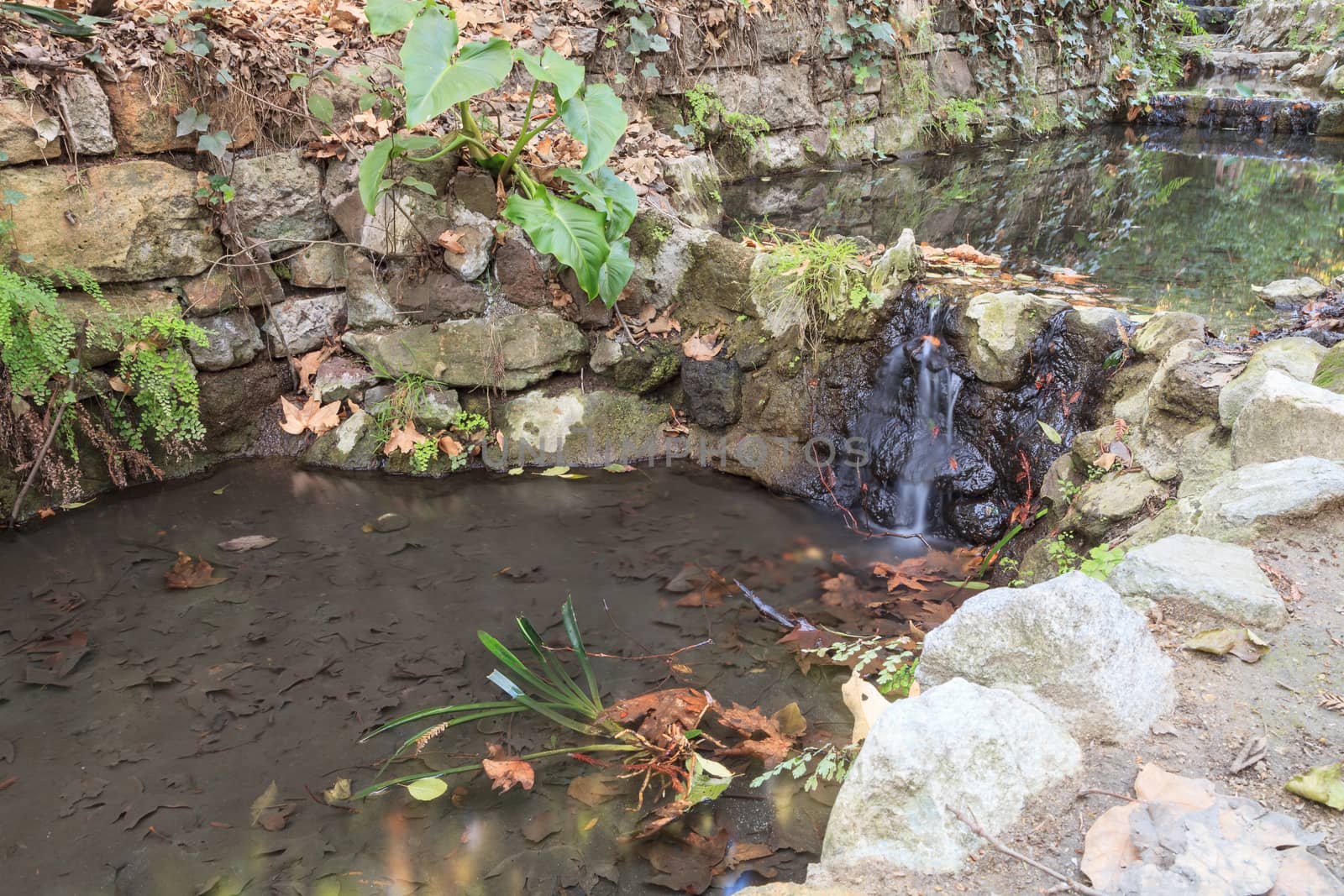 Ferndell hiking trail with ferns, small waterfalls and ponds in Los Angeles, California, United States